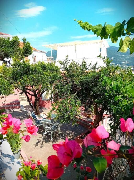 Duka'S Gardenhouse Βίλα Σκόπελος Εξωτερικό φωτογραφία